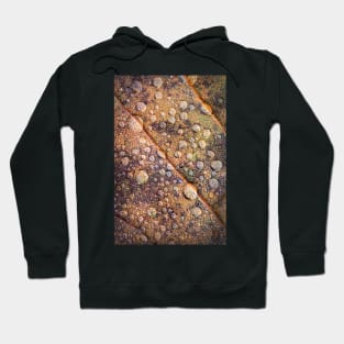 Oak Leaf Close-up with Water Droplets Hoodie